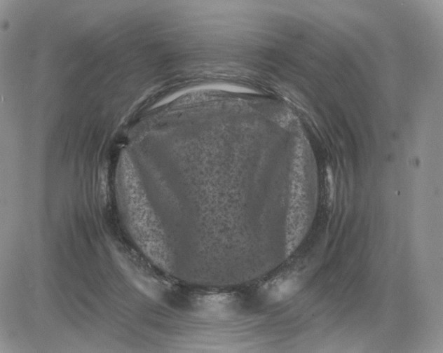 X0000081470312200701262009