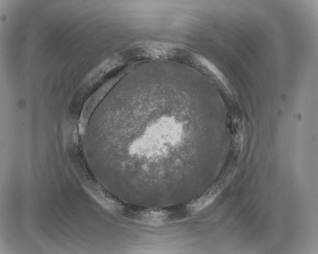 X0000081470313200701262009