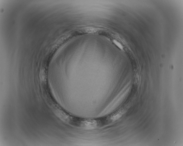 X0000081470317200701262009