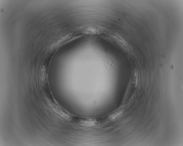 X0000081470318200701262009