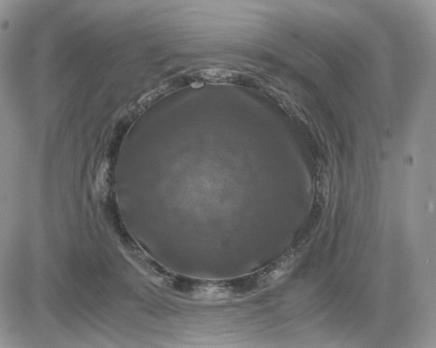 X0000081470319200701262009