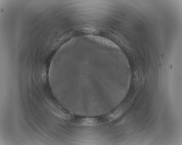 X0000081470320200701262009