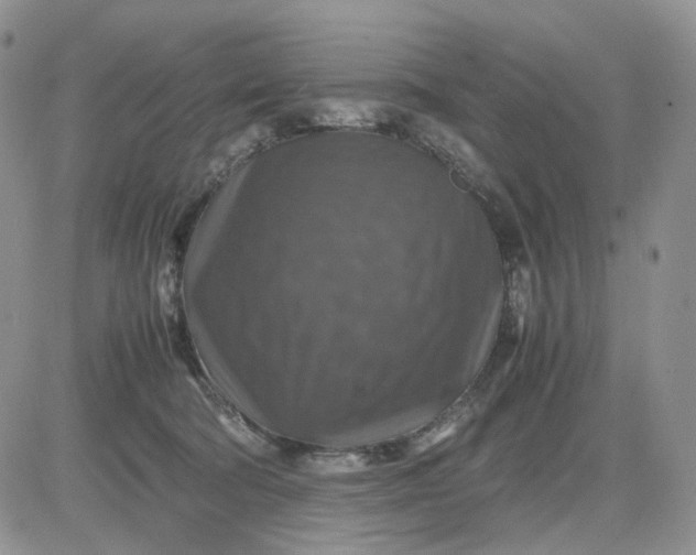 X0000081470322200701262009