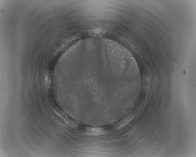 X0000081470324200701262009