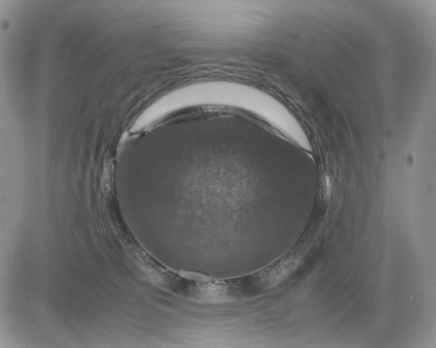 X0000081470325200701262009