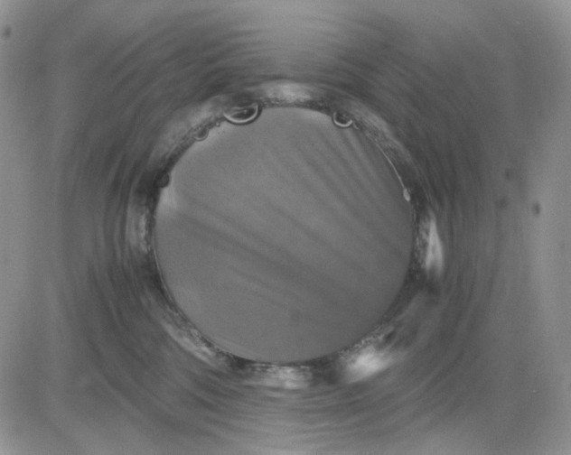 X0000081470330200701262009