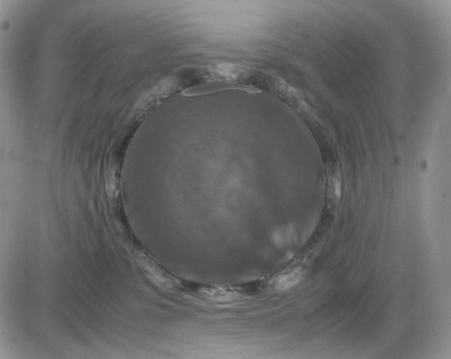 X0000081470331200701262009