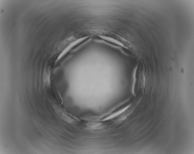 X0000081470334200701262009