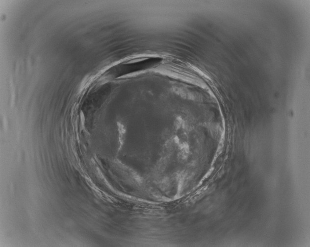 X0000081470337200701262008