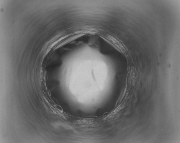 X0000081470338200701262008