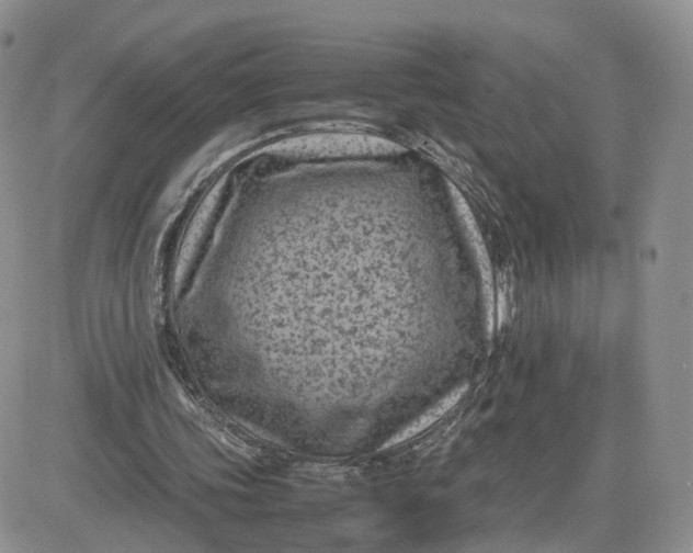 X0000081470339200701262008