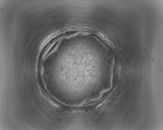 X0000081470340200701262008