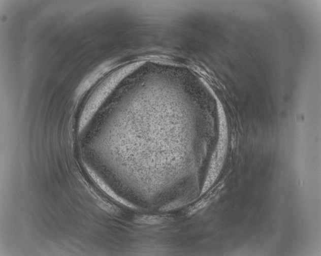 X0000081470341200701262008