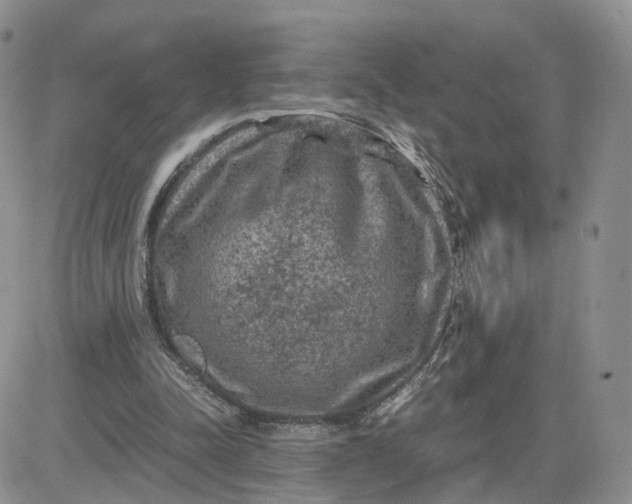 X0000081470342200701262008