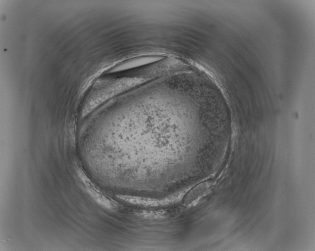 X0000081470345200701262008