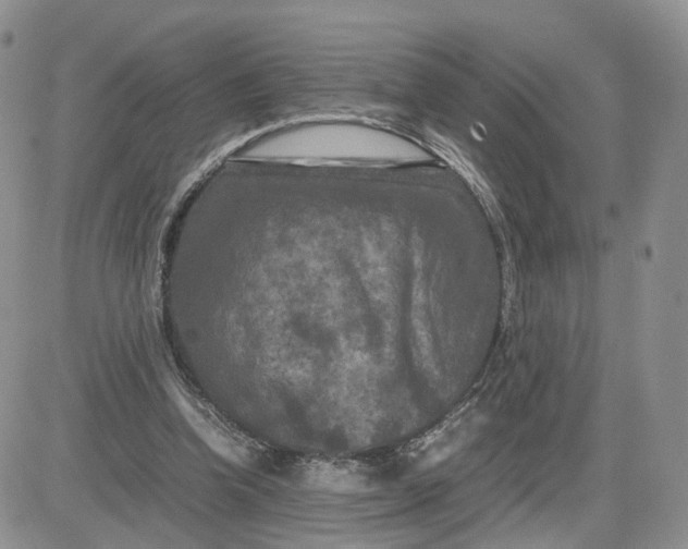 X0000081470346200701262008