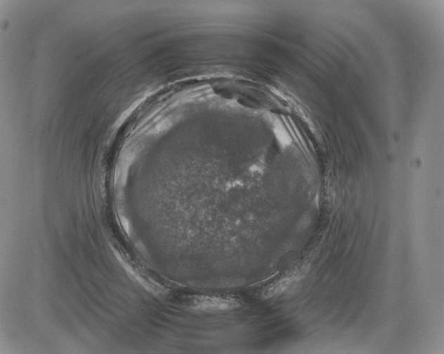 X0000081470347200701262008