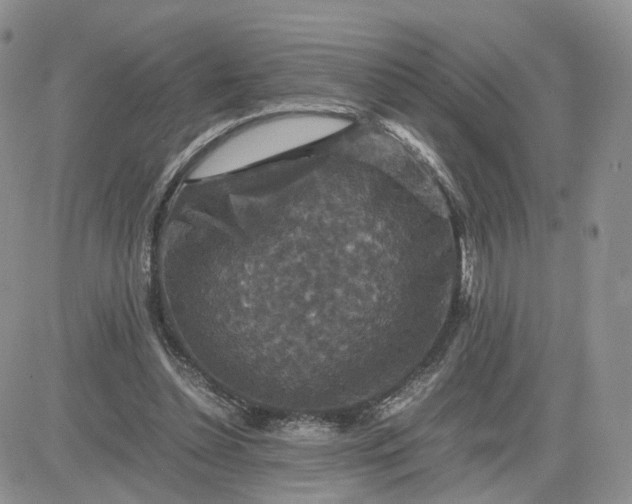 X0000081470348200701262008