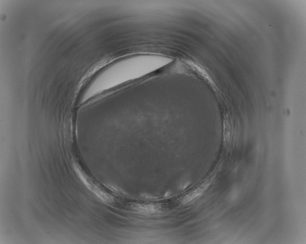 X0000081470349200701262008