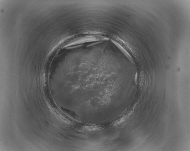 X0000081470351200701262008