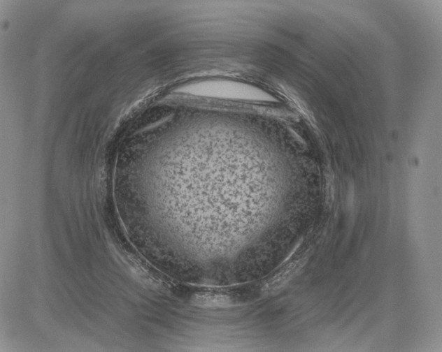 X0000081470354200701262009