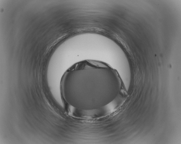 X0000081470356200701262009