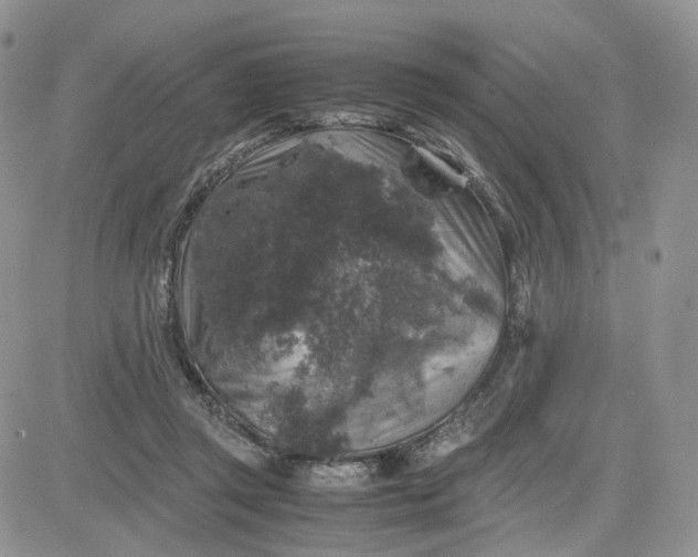 X0000081470357200701262009