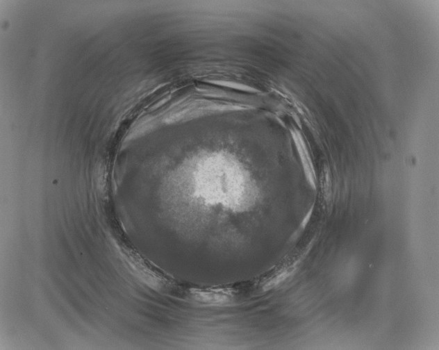 X0000081470359200701262009