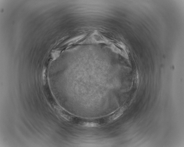 X0000081470360200701262009