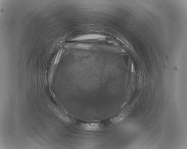 X0000081470361200701262009