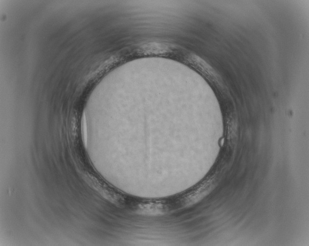 X0000081470362200701262009