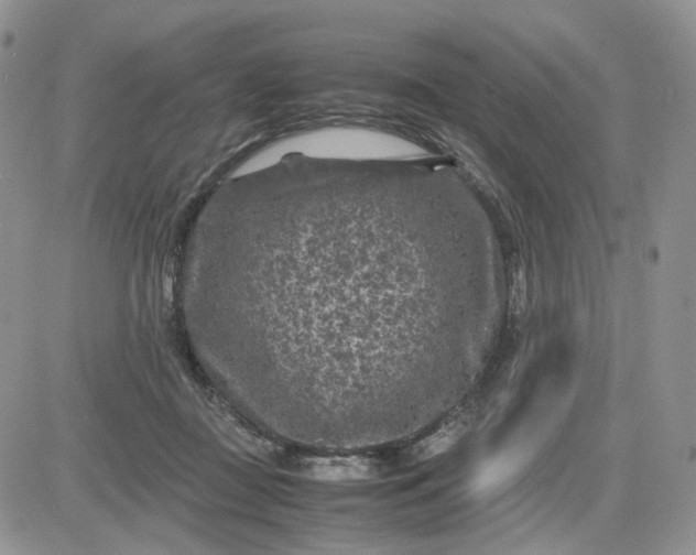 X0000081470363200701262009