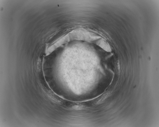 X0000081470364200701262009