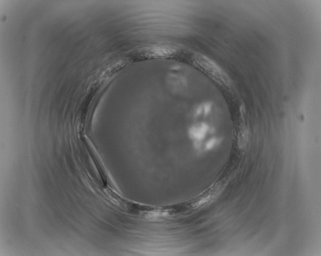 X0000081470366200701262009