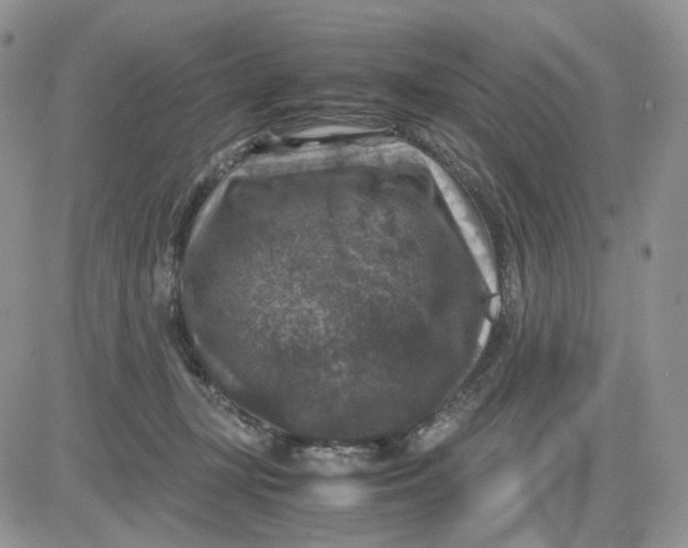 X0000081470367200701262009