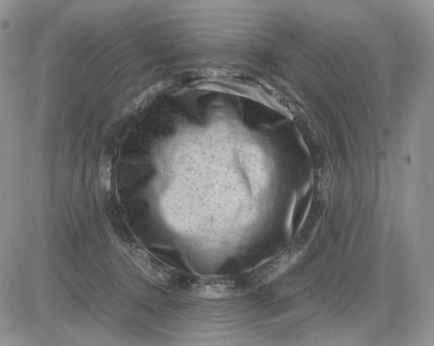 X0000081470368200701262009