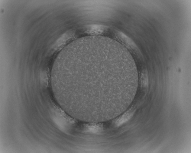 X0000081470370200701262009