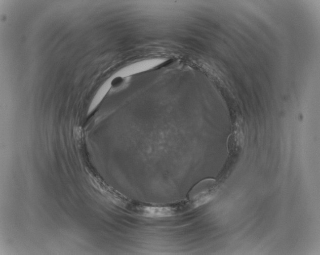 X0000081470371200701262009