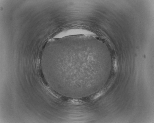 X0000081470372200701262009