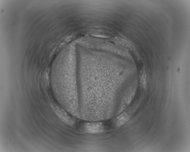 X0000081470373200701262009