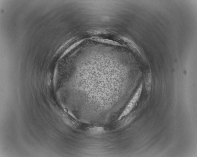 X0000081470374200701262009