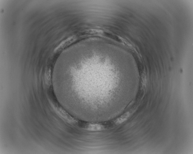 X0000081470376200701262009