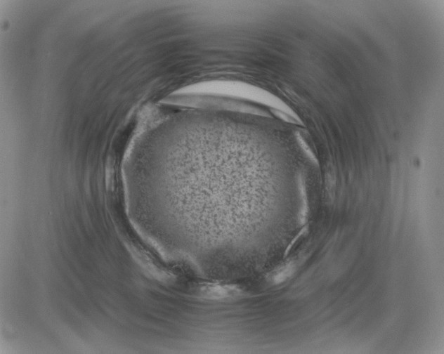 X0000081470379200701262009