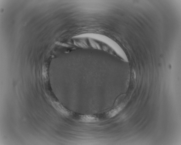 X0000081470380200701262009