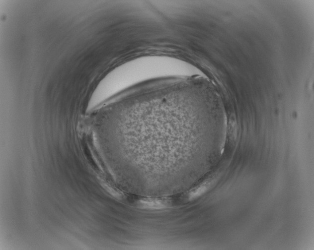 X0000081470381200701262009