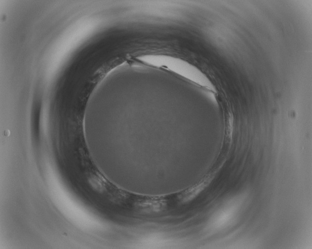 X0000081470383200701262009