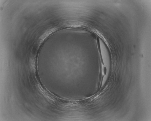 X0000081470386200701262008