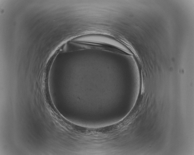 X0000081470387200701262008