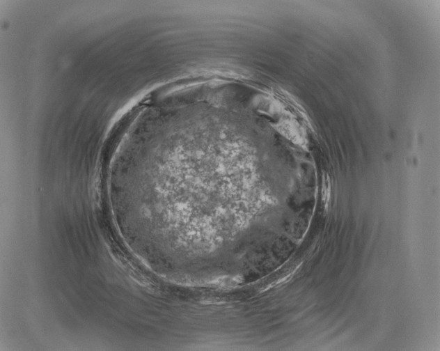 X0000081470388200701262008