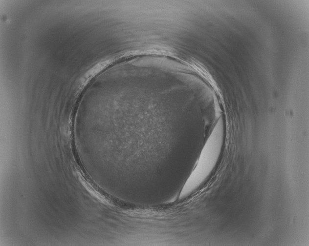 X0000081470389200701262008